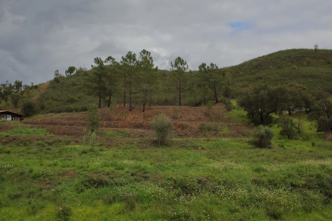 Terreno para Venda em Mexilhoeira Grande Foto 7