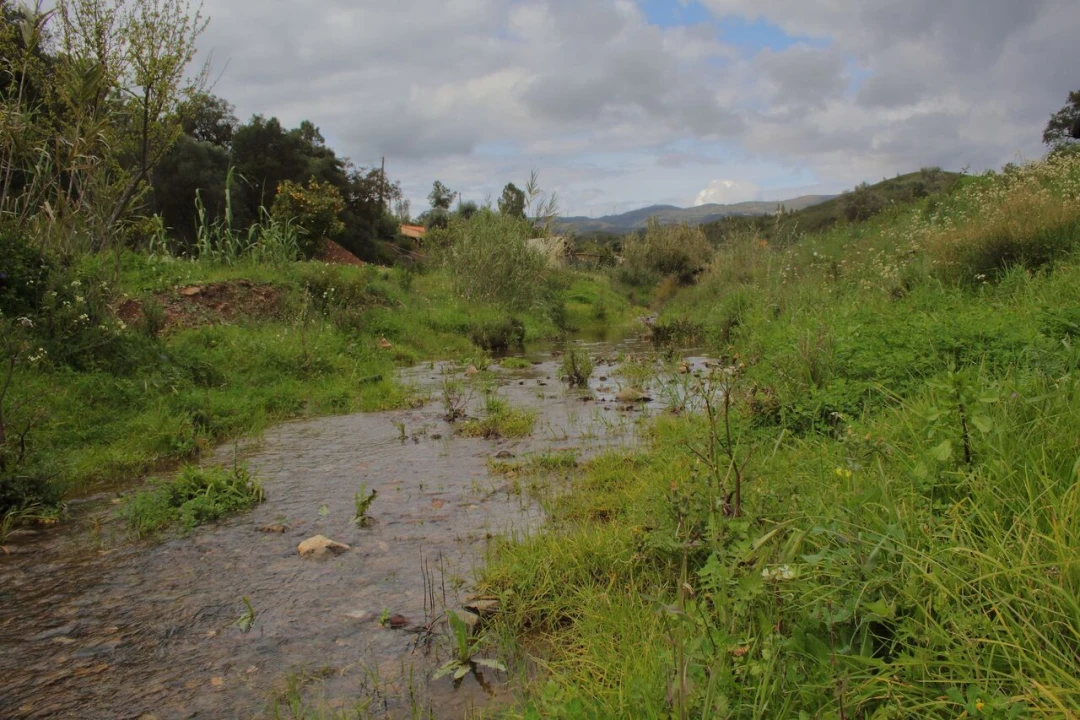 Terreno para Venda em Mexilhoeira Grande Foto 9