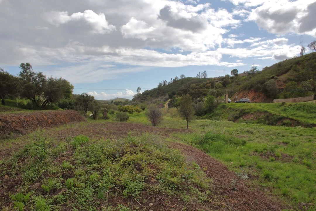Terreno para Venda em Mexilhoeira Grande Foto 11