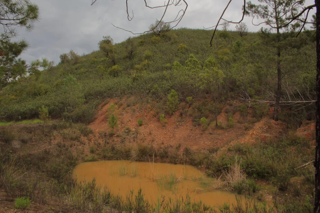 Terreno para Venda em Mexilhoeira Grande Foto 13