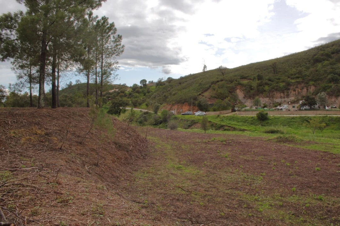 Terreno para Venda em Mexilhoeira Grande Foto 14
