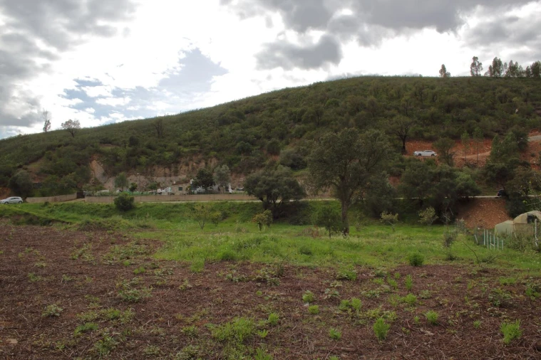 Terreno para Venda em Mexilhoeira Grande Foto 6