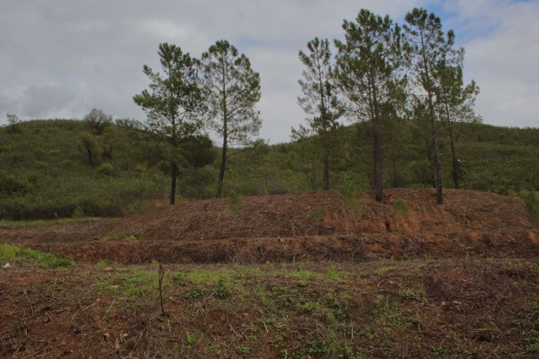 Terreno para Venda em Mexilhoeira Grande Foto 10