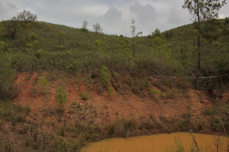 Terreno para Venda em Mexilhoeira Grande Foto 12