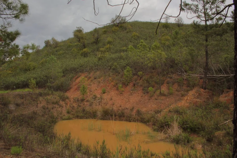 Terreno para Venda em Mexilhoeira Grande Foto 13