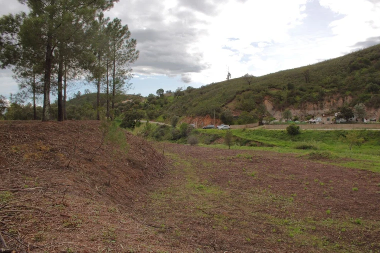 Terreno para Venda em Mexilhoeira Grande Foto 14