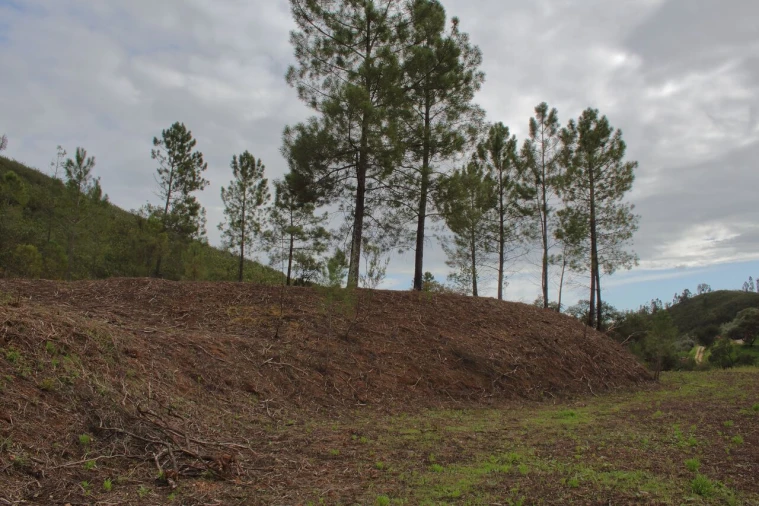 Terreno para Venda em Mexilhoeira Grande Foto 15