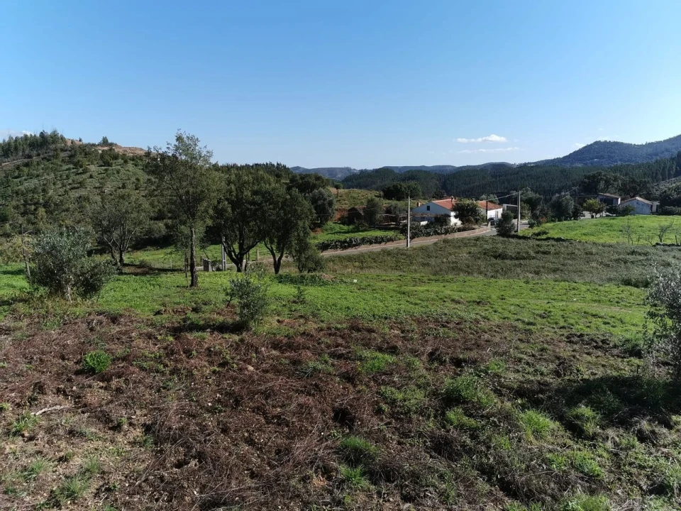 Terreno para Venda em Alferce Foto 7