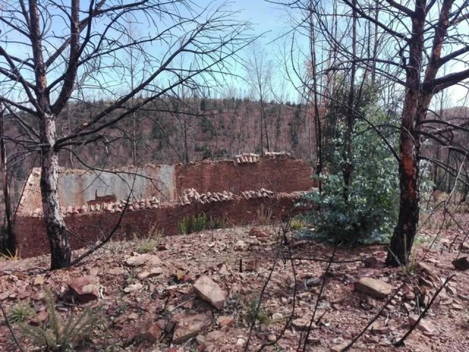 Terreno para Venda em Silves Foto 5