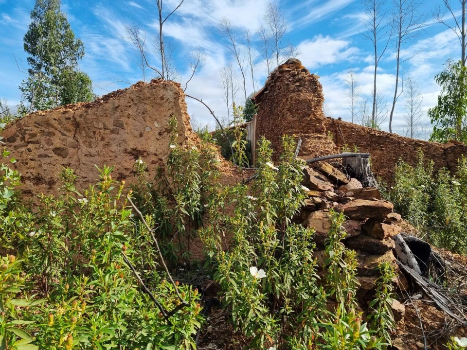 Terreno para Venda em Silves Foto 3