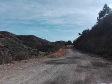 Terreno para Venda em Silves