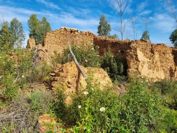 Terreno para Venda em Silves