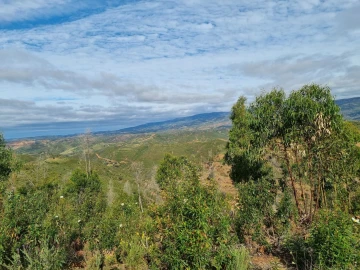Terreno para Venda em Silves