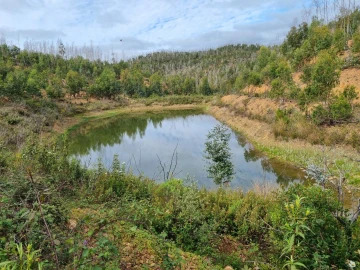 Terreno para Venda em Silves