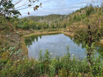 Terreno para Venda em Silves