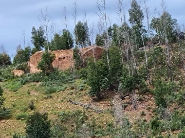 Terreno para Venda em Silves