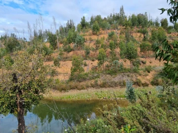 Terreno para Venda em Silves
