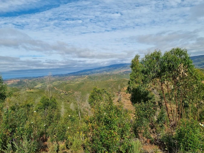Terreno para Venda em Silves Foto 8