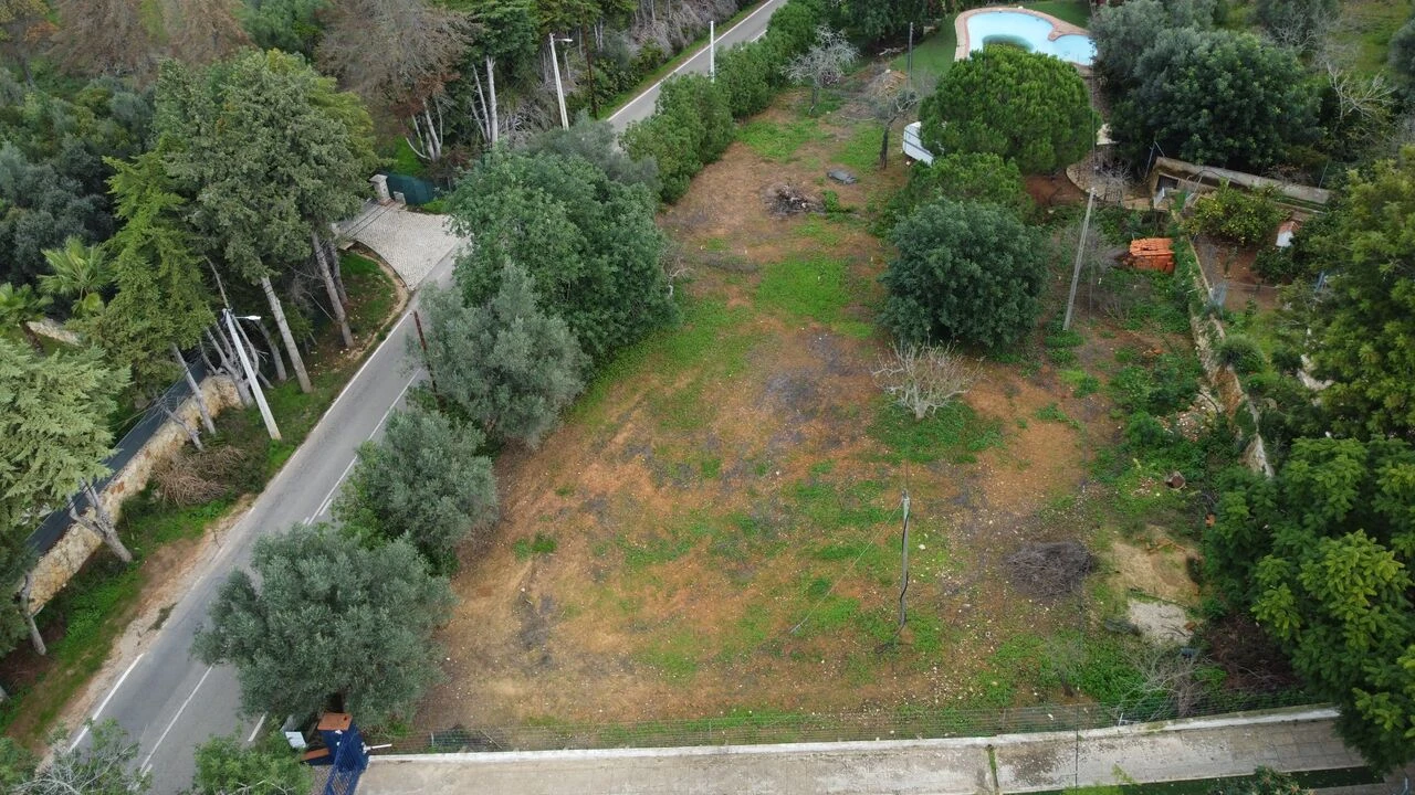 Terreno para Venda em Alcantarilha e Pêra Foto 3