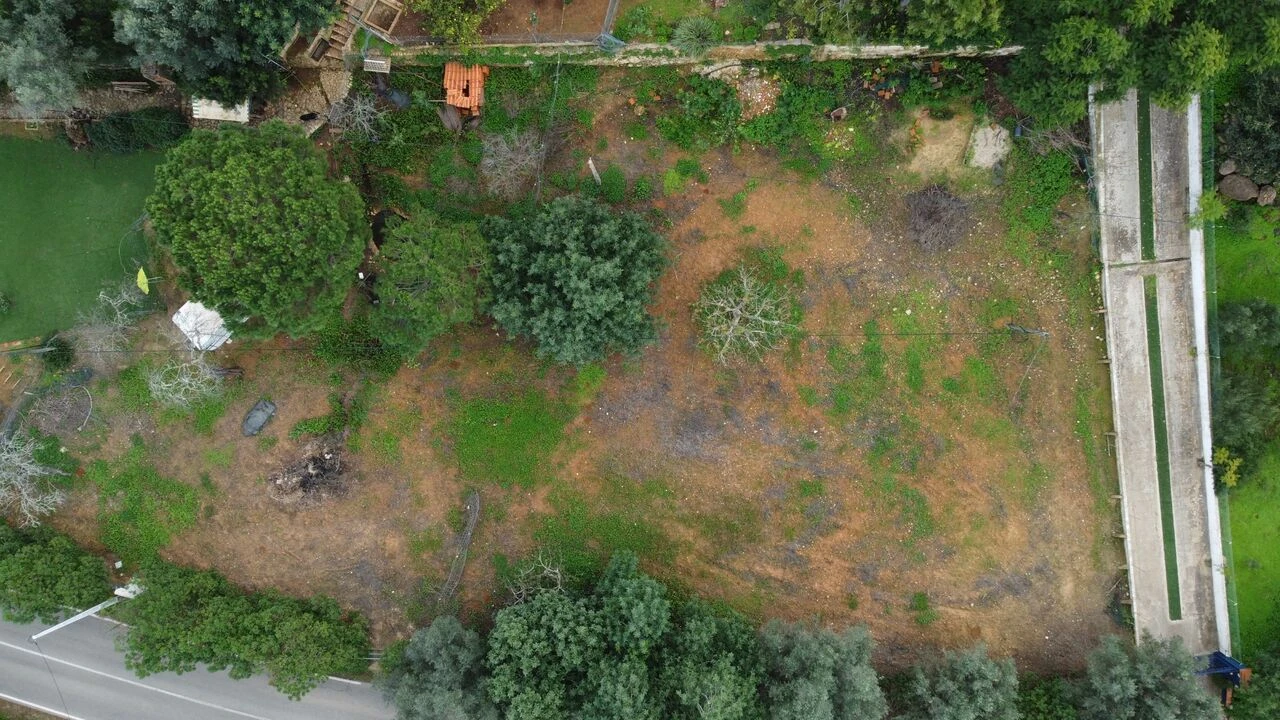 Terreno para Venda em Alcantarilha e Pêra Foto 4