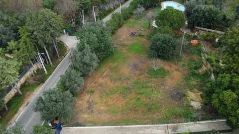 Terreno para Venda em Alcantarilha e Pêra