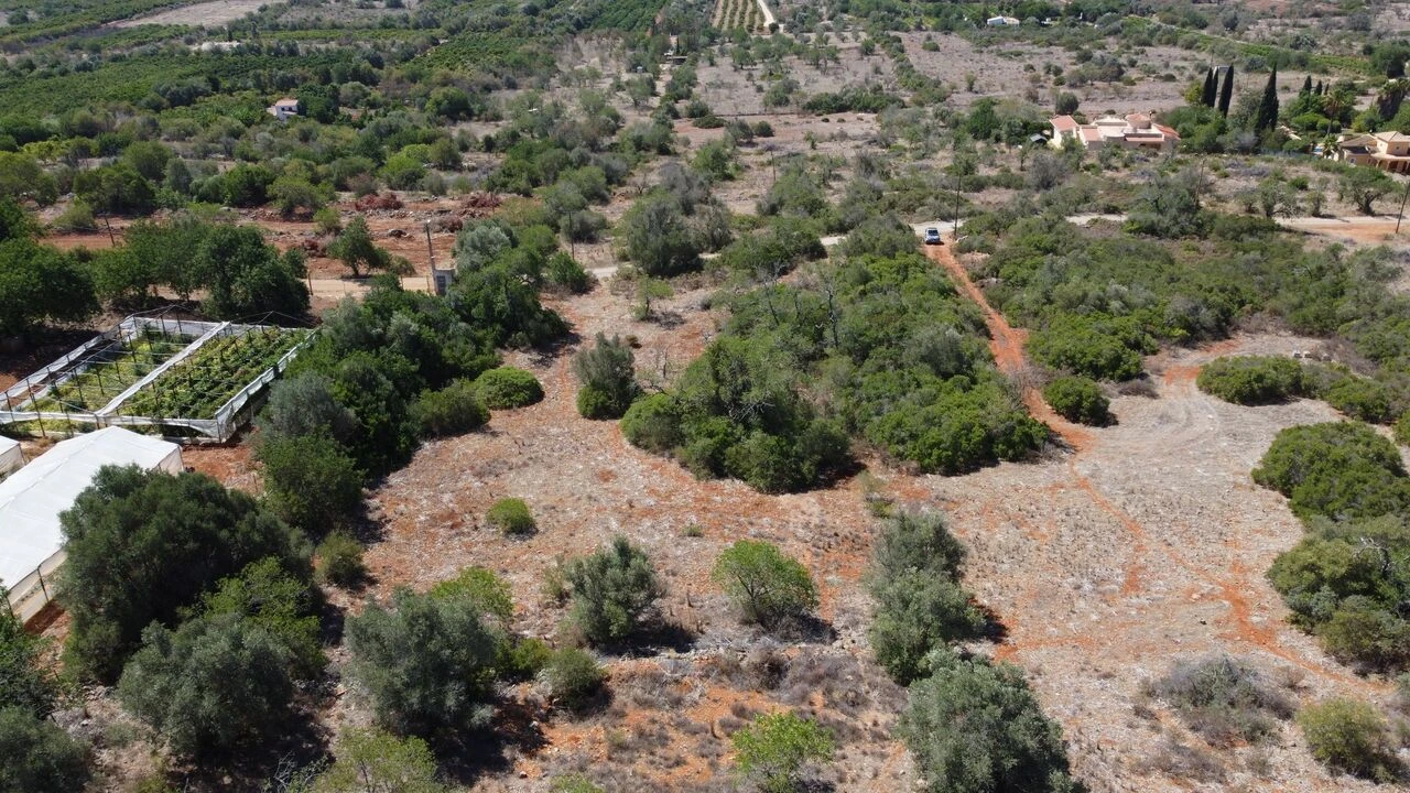Terreno para Venda em São Bartolomeu de Messines Foto 1