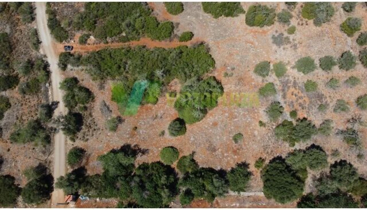 Terreno para Venda em São Bartolomeu de Messines Foto 6