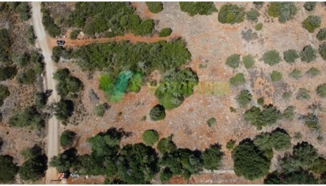Terreno para Venda em São Bartolomeu de Messines