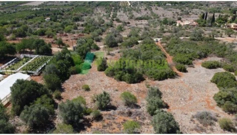 Terreno para Venda em São Bartolomeu de Messines