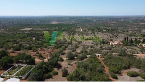 Terreno para Venda em São Bartolomeu de Messines