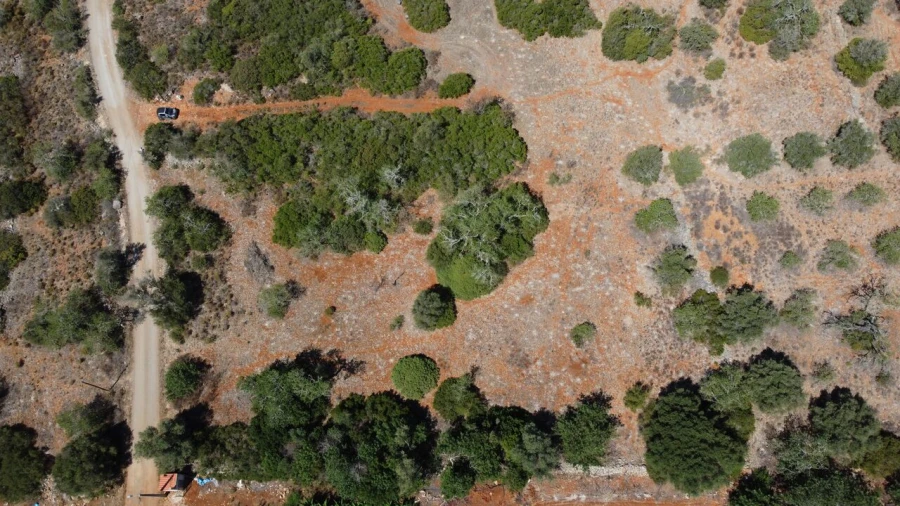 Terreno para Venda em São Bartolomeu de Messines Foto 3