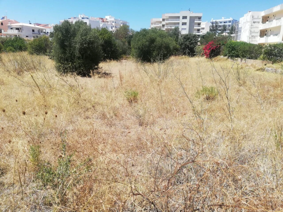 Terreno para Venda em Alvor Foto 11
