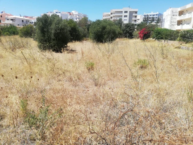 Terreno para Venda em Alvor Foto 11