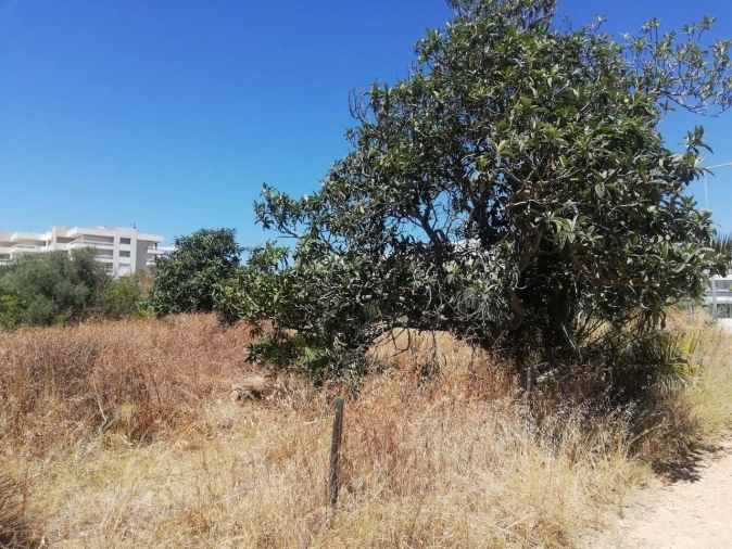 Terreno para Venda em Alvor Foto 12
