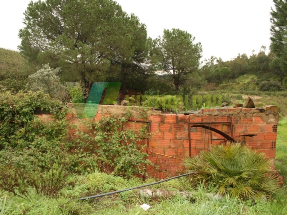 Terreno para Venda em Mexilhoeira Grande Foto 4