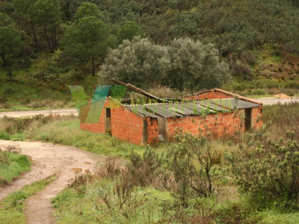 Terreno para Venda em Mexilhoeira Grande Foto 5