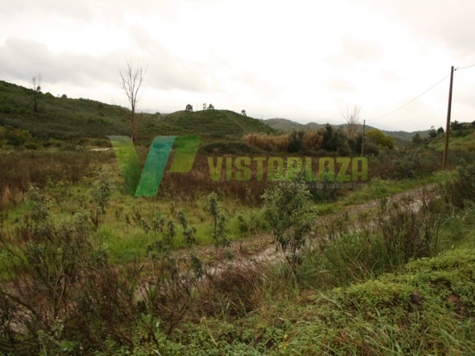 Terreno para Venda em Mexilhoeira Grande Foto 7