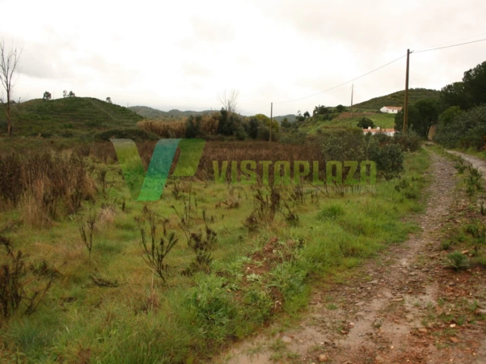 Terreno para Venda em Mexilhoeira Grande Foto 8