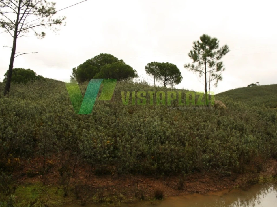 Terreno para Venda em Mexilhoeira Grande Foto 10