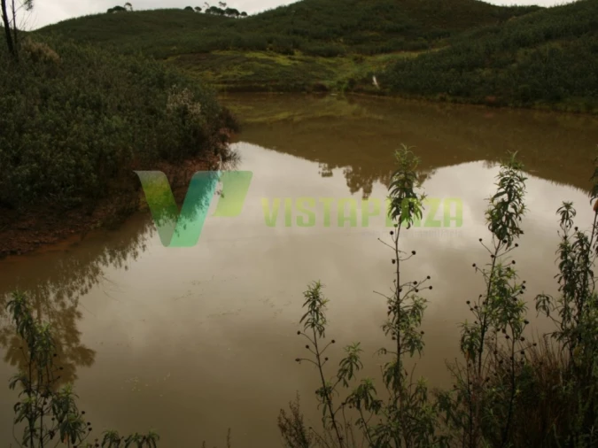 Terreno para Venda em Mexilhoeira Grande Foto 9