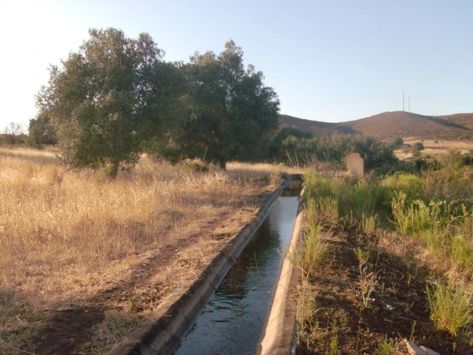 Terreno para Venda em Mexilhoeira Grande Foto 2