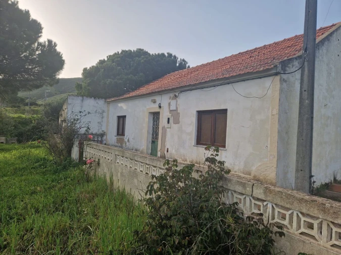 Quinta T2 para Venda em Alferce Foto 4