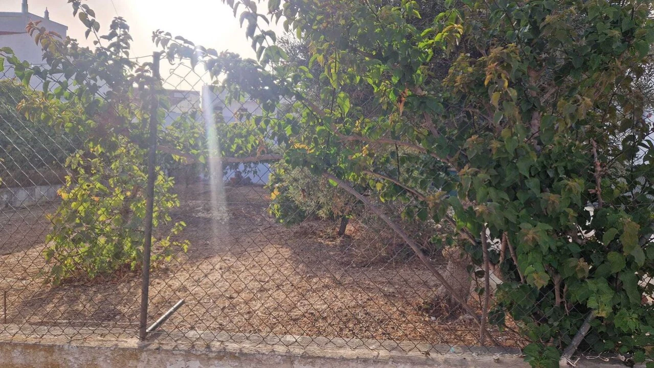 Terreno para Venda em Montenegro Foto 1