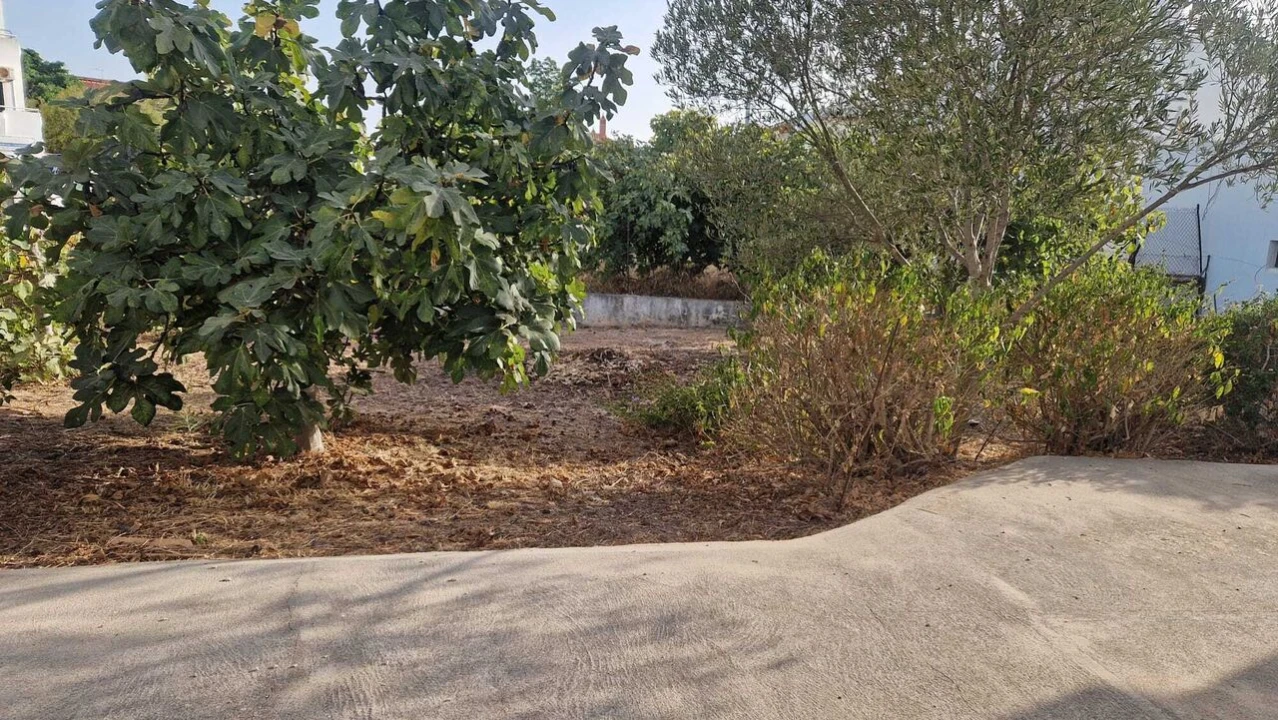 Terreno para Venda em Montenegro Foto 3