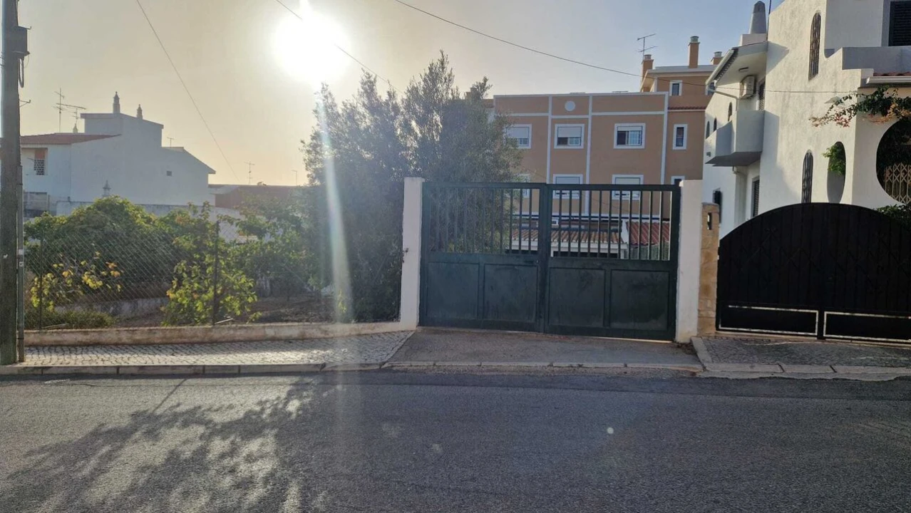 Terreno para Venda em Montenegro Foto 4