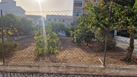 Terreno para Venda em Montenegro