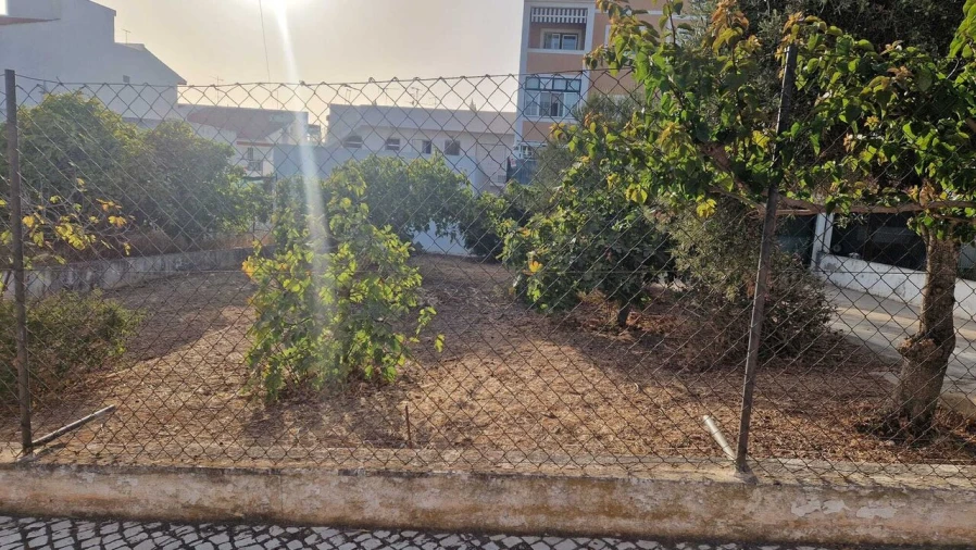Terreno para Venda em Montenegro Foto 5