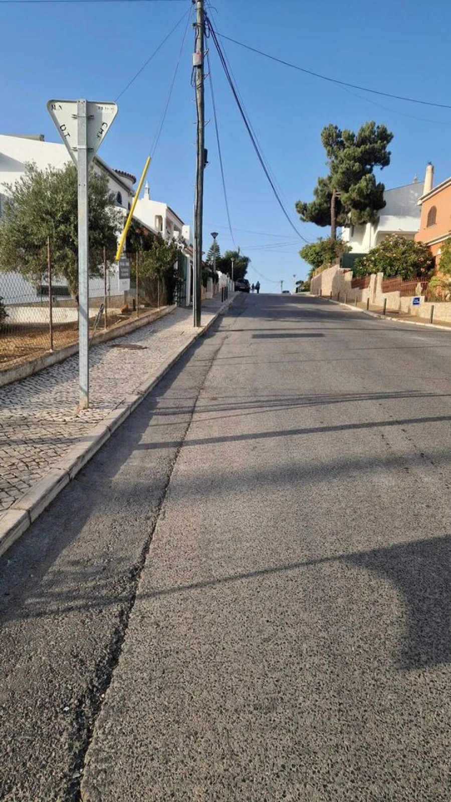 Terreno para Venda em Montenegro Foto 6