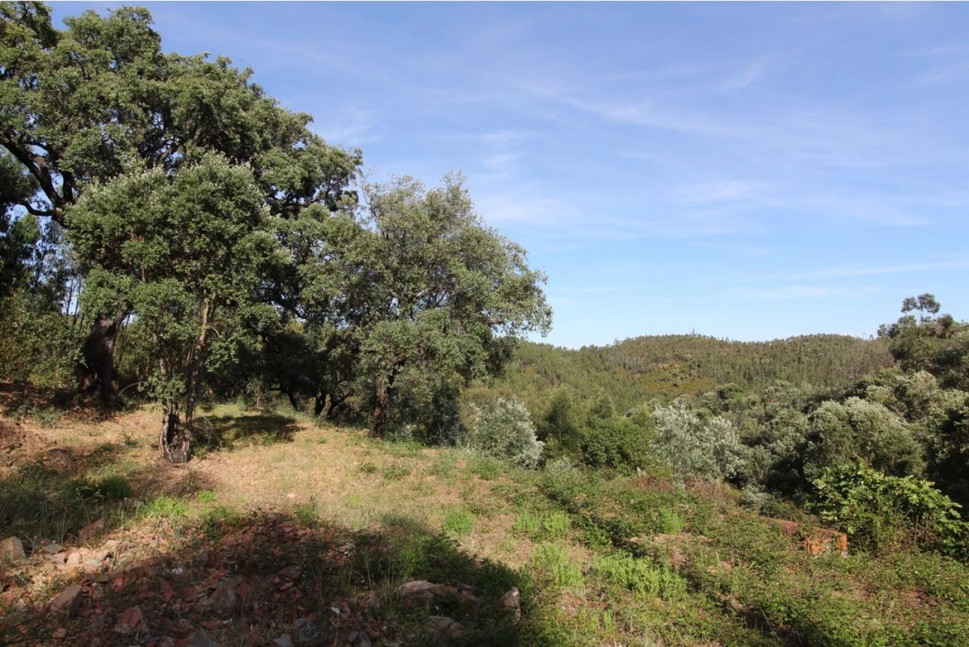 Terreno para Venda em Marmelete Foto 1