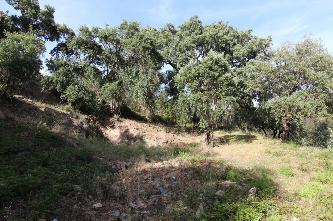 Terreno para Venda em Marmelete Foto 10